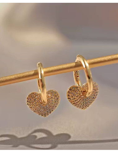 Orecchini acciaio cerchio...